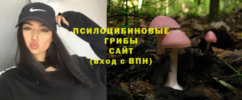 Галлюциногенные грибы MAGIC MUSHROOMS  Бодайбо 